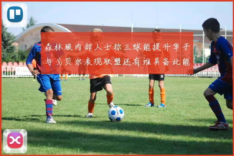 森林狼内部人士称三球能提升华子与戈贝尔表现联盟还有谁具备此能力